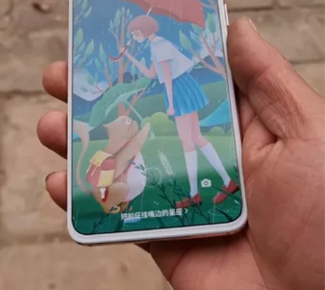 魅族17pro 定白12+256G顶配版。...