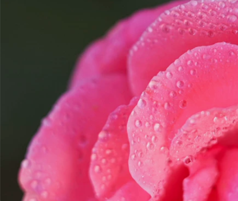 佳能百威二代防抖版本 100 2.8is微...