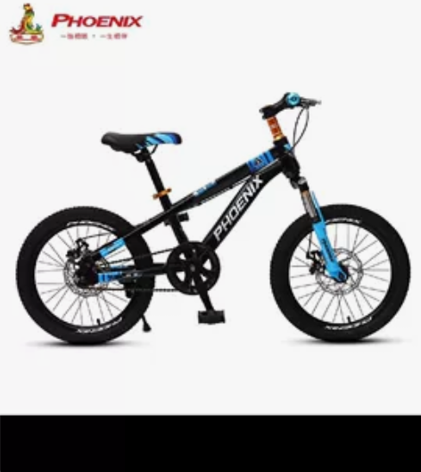 凤凰儿童自行车，小孩大了，车子小了。没毛病...