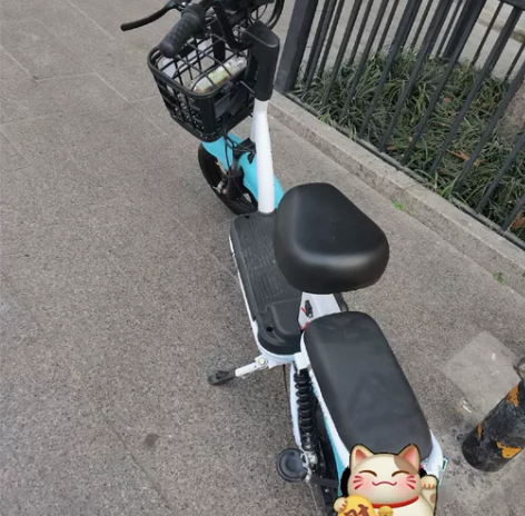 上个月买的新的 还没怎么骑 电池续航20公...