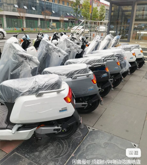 小牛电动    22款NqiB动力版  全...