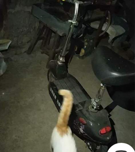 折叠电动车.24ⅴ，一年前买的，孩子们耦尔...