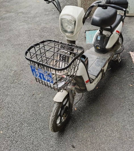 新大洲PALLA电动车 3C新国标48V成...