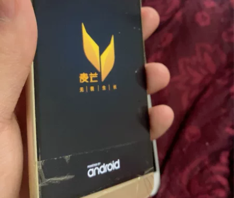 华为麦芒5 4g+64g看看吧，作个mp4...