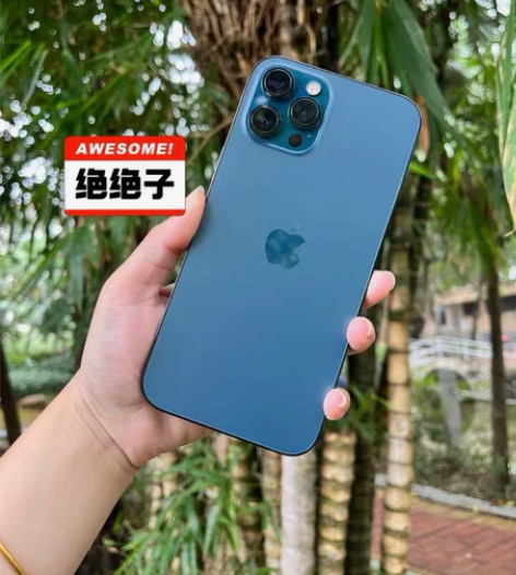 iPhone苹果12promax256G美...