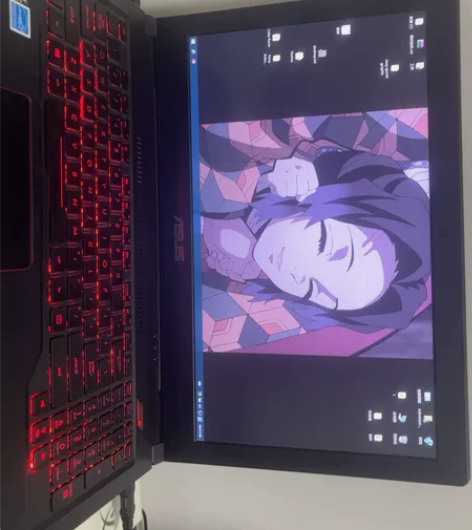 笔记本电脑 华硕飞行堡垒四 1050 12...