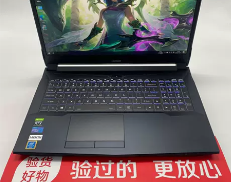 95新Hasee/神舟战神TX8 RTX3...