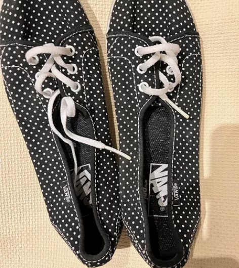 Vans女士帆布鞋  很好看，五环正价购买...