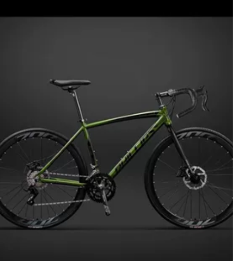 菲利普自行车,买回骑了半个月,无损坏无刮痕...