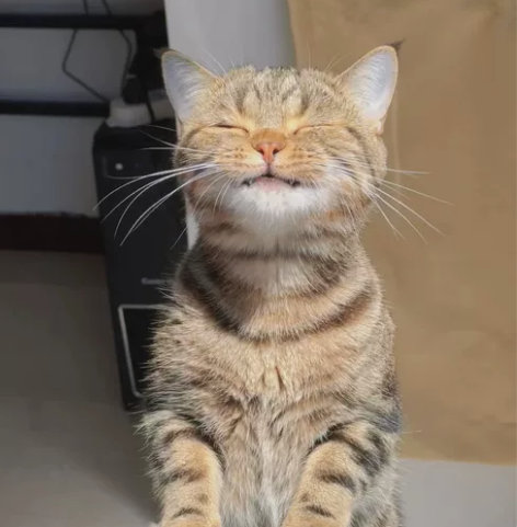 axure原型 代画、需求分析、需求优化，...