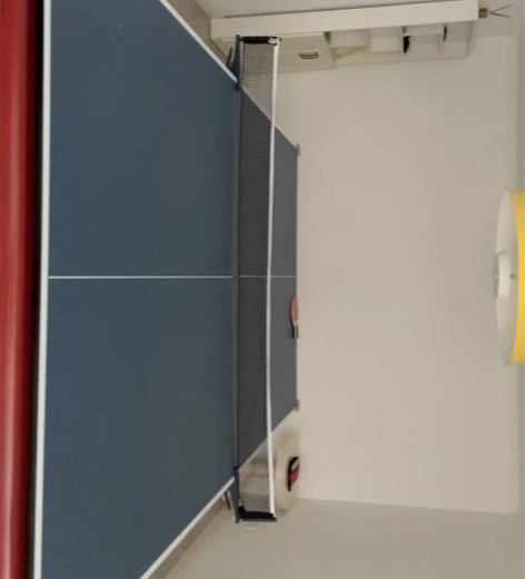 乒乓球桌500，只限徐州本地自提 不议价轻...