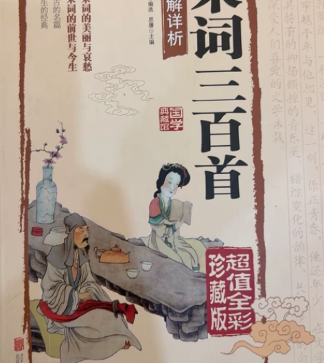 唐诗三百首，宋词三百首图解详析，古诗文赏析...