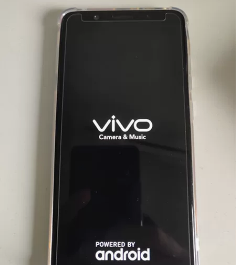 vivo    4+64G内存95新，指纹...