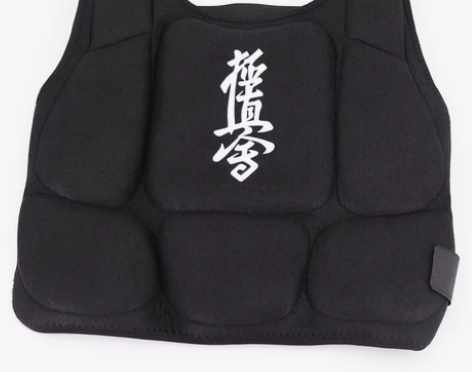 极真会空手道护胸 护甲 护身 全新转让，不...