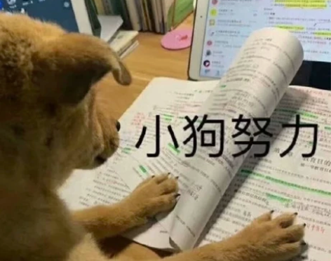 【24可带】考研 英语二 一对一辅导 适合...