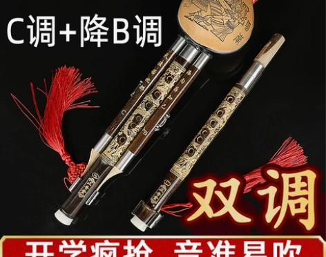 正音堂葫芦丝乐器初学c调降b调小学生专业演...
