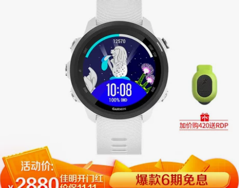 佳明(GARMIN)Forerunner2...