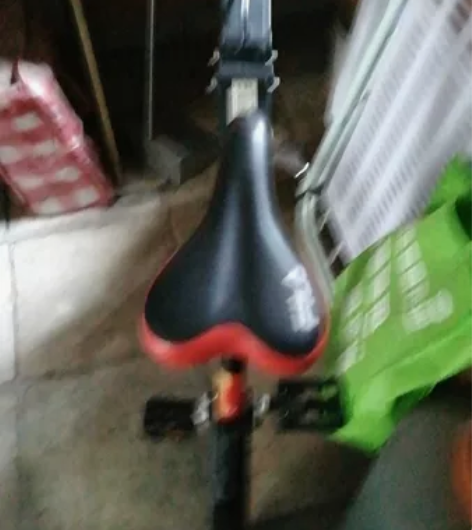 斐乐折叠自行车，超轻便携，重约8公斤。可轻...