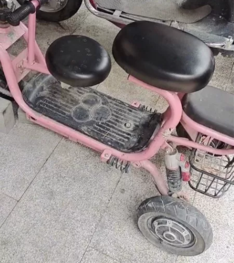 飞鸽电瓶车，闲置出让，正常运作，挡泥板掉了...