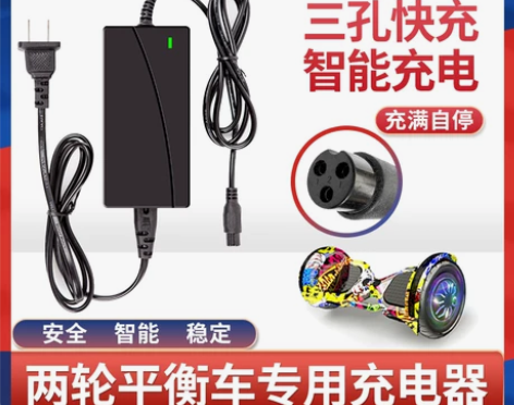 两轮电动平衡车充电线36V锂电池42v阿尔...