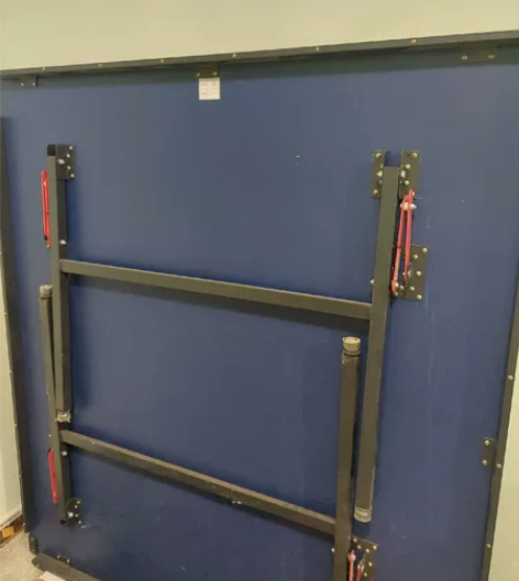 红双喜TK3010 乒乓球台，九成新，西双...