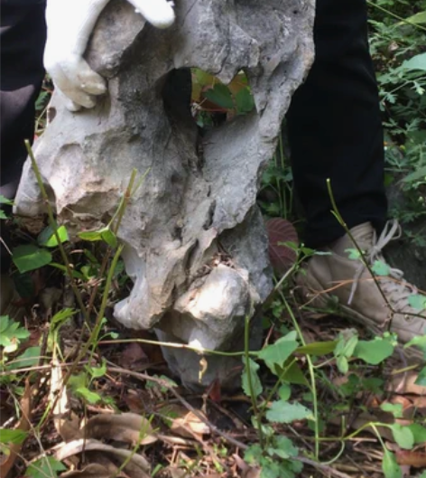 天然太湖石原石奇石，56-32-27。“太...