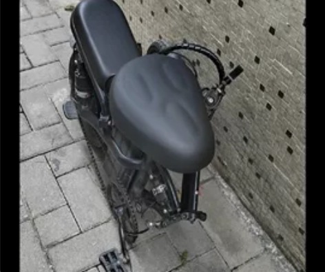 两块电瓶一个车，英国技术普莱德 新国标折叠...