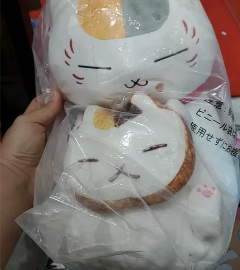 全新猫老师A赏 感兴趣的话点“我想要”和我...