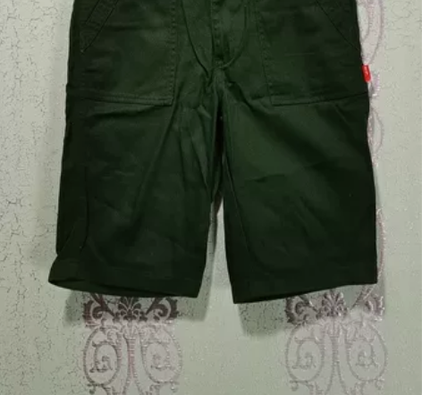 男士休闲短裤 腰围二尺三裤长55