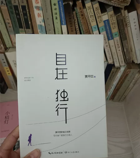 文学书籍，冰心，贾平凹，蔡康永，偷影子的人...