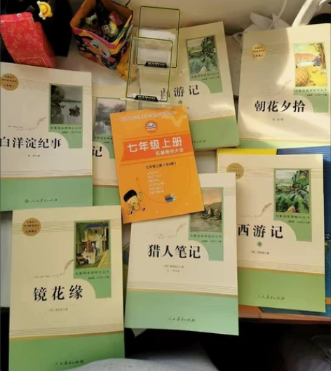 西游记朝花夕拾镜花缘白洋淀纪事猎人笔七年级...
