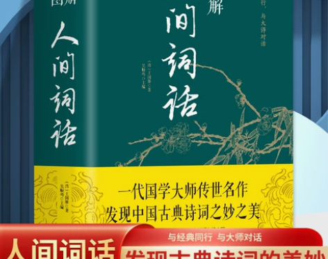 图解人间词话 中国古诗词 国学经典书籍人生...