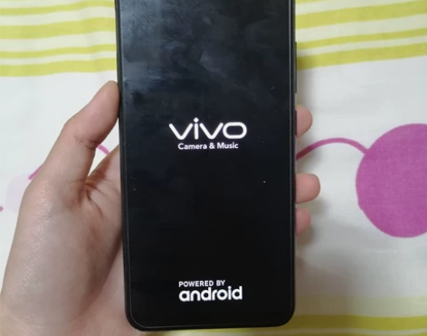 vivo VIVO Y93 3+64G，无...