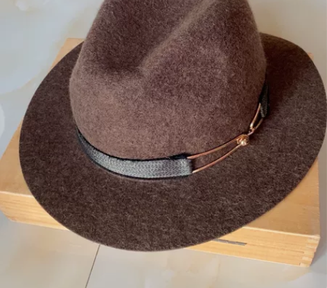 羊毛呢礼帽 商场200多买的帽子 买来就闲...