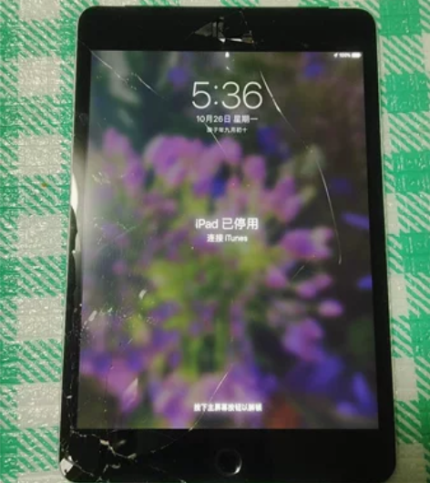 iPad mini2，全原装，功能正常，外...