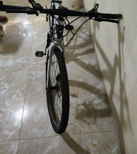 上班没时间骑，一直放在家里，变速不流畅，刹...