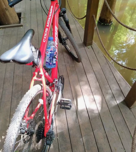 美利达 勇士500D。 送:手机支架，密码...