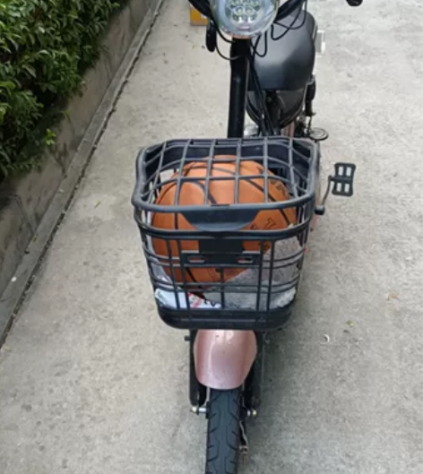 思帝诺电动车48v 13ah的锂电池，包含...