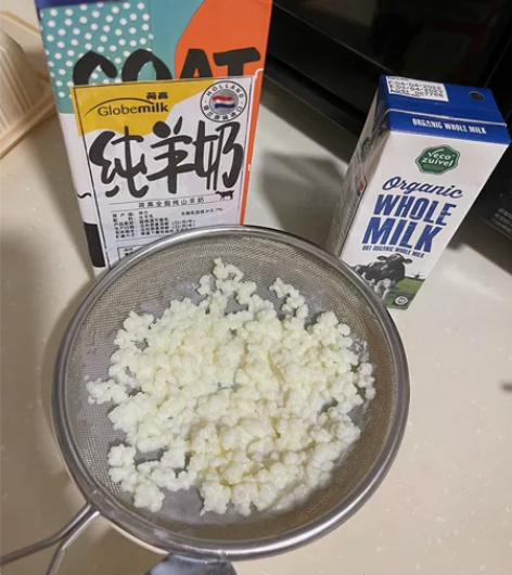 正品Kefir Grains开菲尔菌种，母...