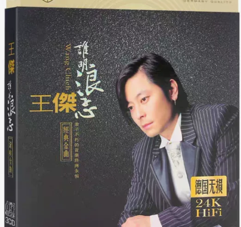 谁明浪子心回家一场游戏一场梦经典王杰cd音...