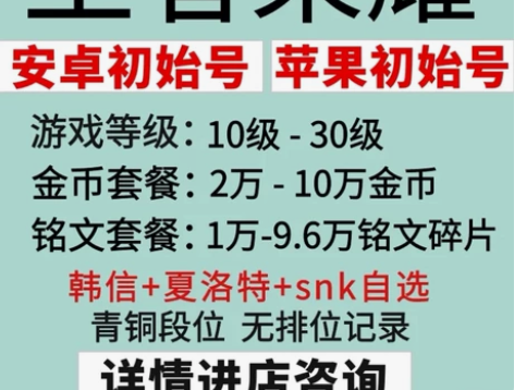 王者荣耀安卓新号/150满级/30级/2-...
