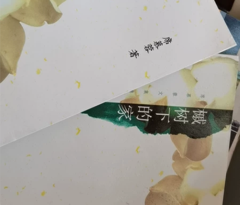 席慕容文集典藏 在黑暗的河流上 戚树下的家...