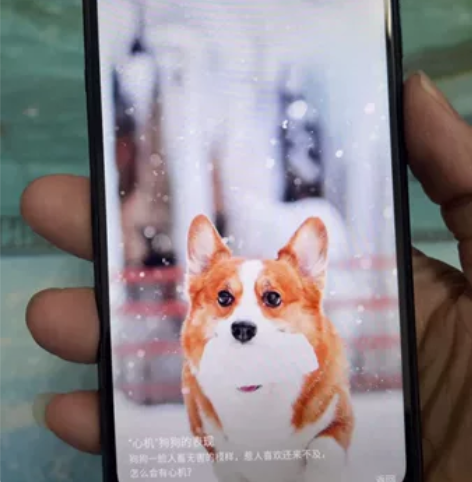 海信金刚5 E216t 全面屏 配置4+6...