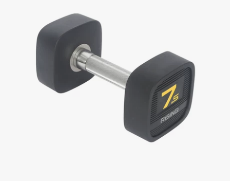 RISING锐思哑铃方形防滚俯卧撑PU包胶...