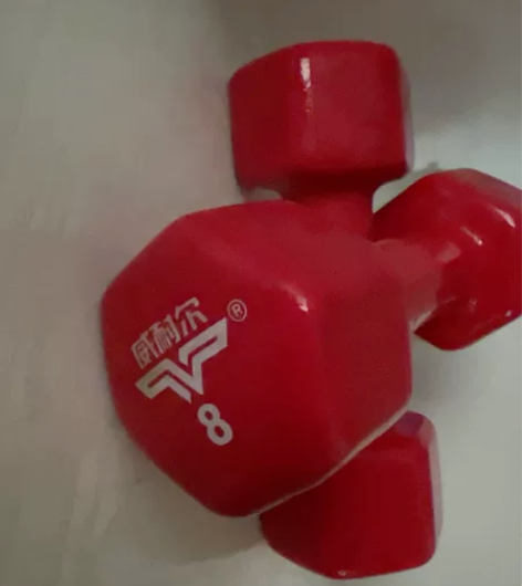 全新哑铃  闲置物品  优惠售出 感兴趣的...