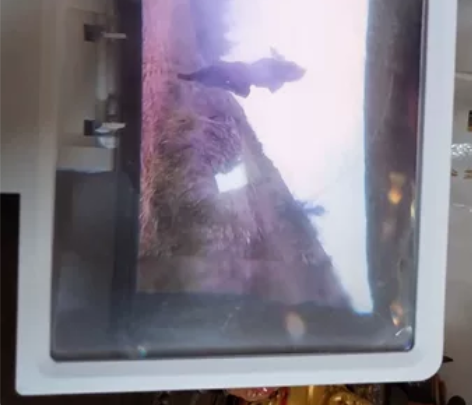 手机屏幕高清放大器 感兴趣的话点“我想要”...