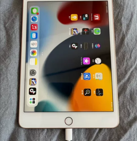ipad mini5 256G苹果平板  ...
