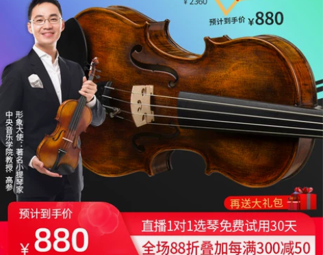 CHRISTINA缪斯2021新款专业小提...