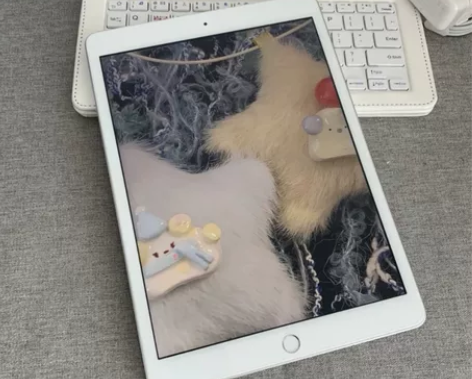 95成新苹果ipad  2020款   1...