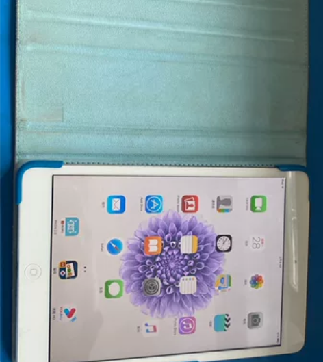 学校黄了 上wedo用的ipad mini...